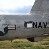 US NAVY ハーフパンツ（PFUタイプII）の魅力｜夏フェス・旅行にも最適な万能ミリタリーパンツ